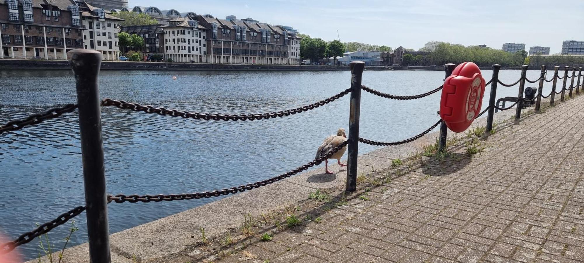 Riverside 3Br With Easy Transport 20Mins To City Centre London Ngoại thất bức ảnh